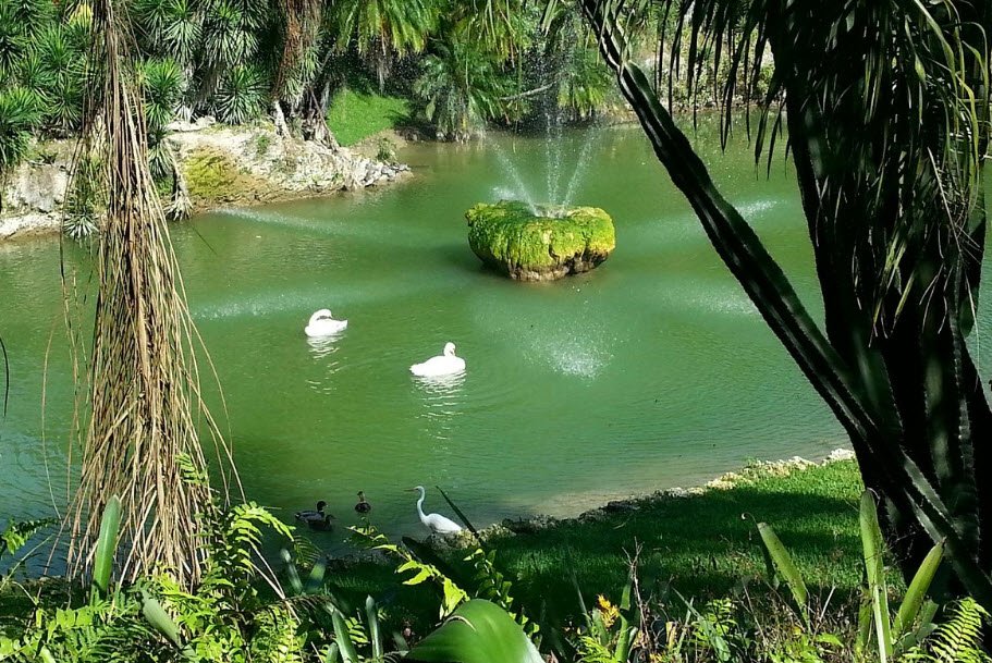 Pinecrest Gardens, United States